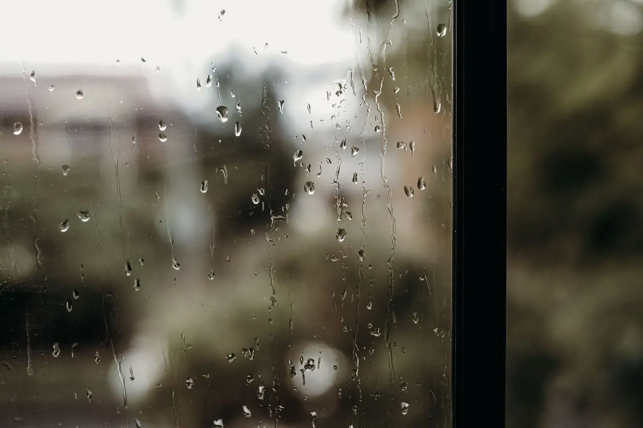 Rain on a window during the Puget Sound damp season, the usual carpet drying condition in Seattle, WA